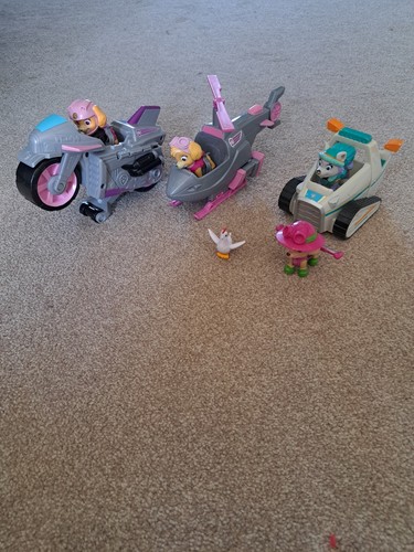 Paw patrol skye bike and - patrol,