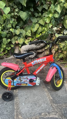 Paw patrol born - patrol, brave